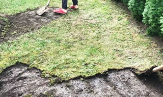 Снятие дерна старого газона в Печоре – от 510 руб. | 2Землекопа-Пчр